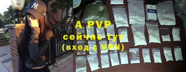 гидра Алексеевка