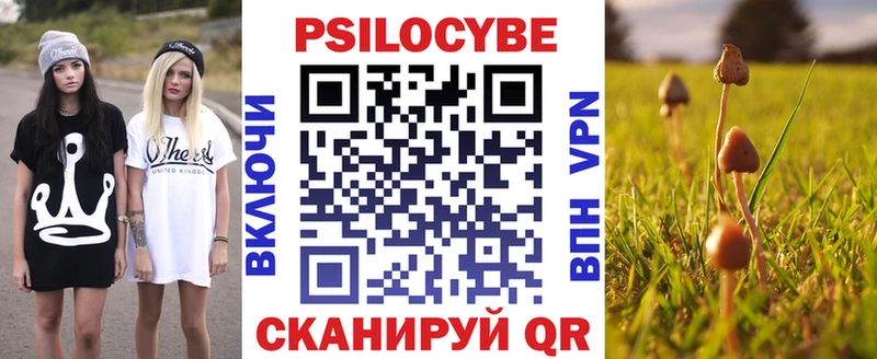 купить   Куровское  Галлюциногенные грибы MAGIC MUSHROOMS 